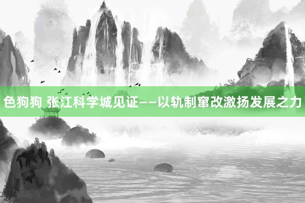 色狗狗 张江科学城见证——以轨制窜改激扬发展之力