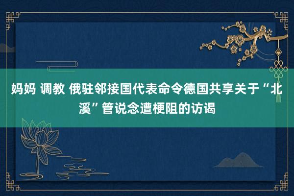 妈妈 调教 俄驻邻接国代表命令德国共享关于“北溪”管说念遭梗阻的访谒