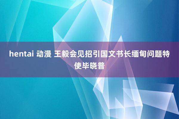 hentai 动漫 王毅会见招引国文书长缅甸问题特使毕晓普