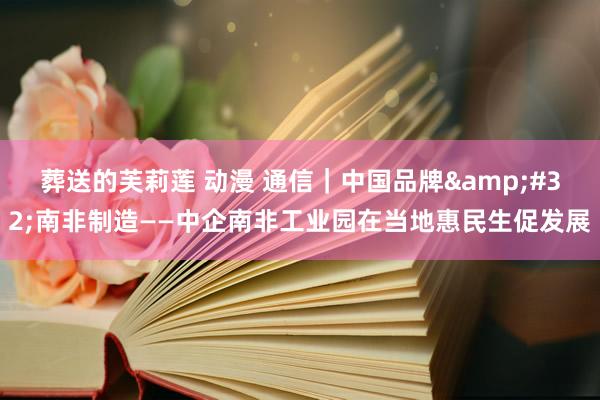 葬送的芙莉莲 动漫 通信｜中国品牌&#32;南非制造——中企南非工业园在当地惠民生促发展