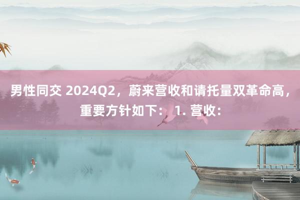 男性同交 2024Q2，蔚来营收和请托量双革命高，重要方针如下： 1. 营收：
