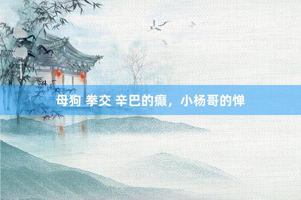 母狗 拳交 辛巴的癫，小杨哥的惮