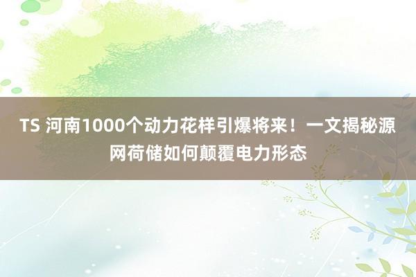 TS 河南1000个动力花样引爆将来！一文揭秘源网荷储如何颠覆电力形态