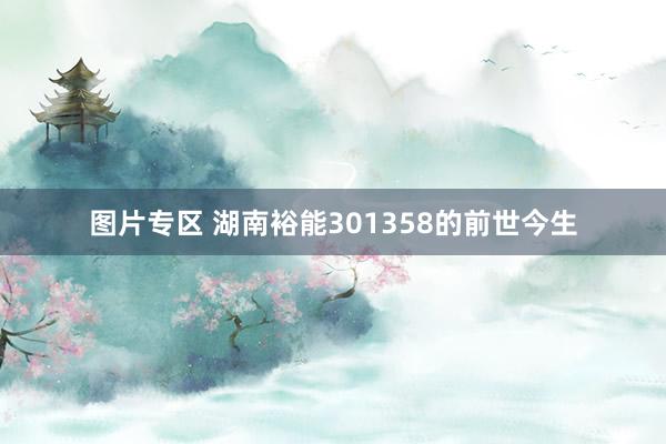 图片专区 湖南裕能301358的前世今生