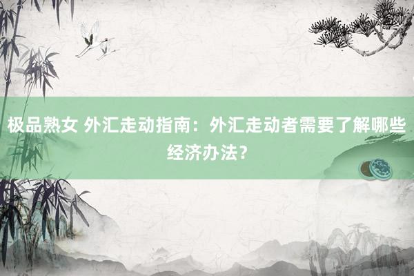 极品熟女 外汇走动指南：外汇走动者需要了解哪些经济办法？