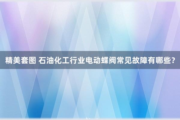 精美套图 石油化工行业电动蝶阀常见故障有哪些？