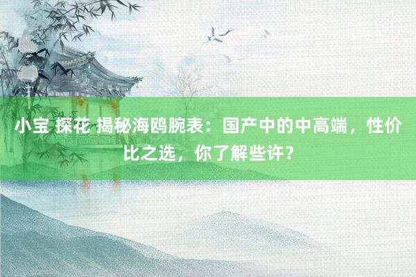 小宝 探花 揭秘海鸥腕表：国产中的中高端，性价比之选，你了解些许？