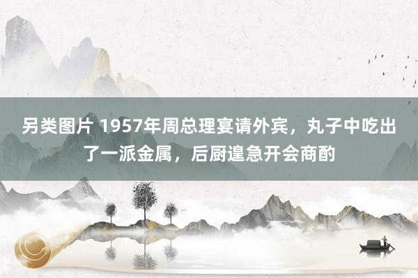 另类图片 1957年周总理宴请外宾，丸子中吃出了一派金属，后厨遑急开会商酌