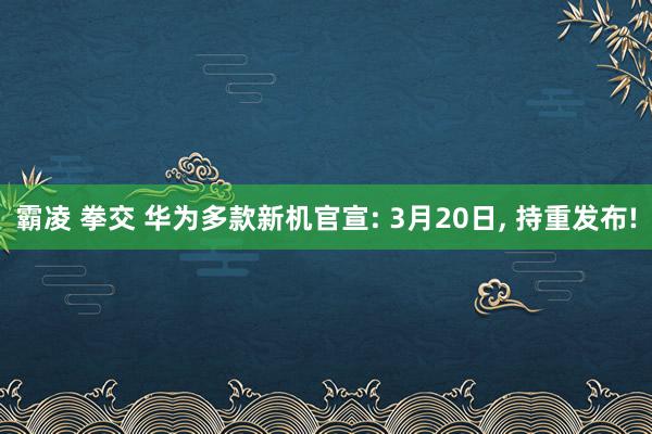 霸凌 拳交 华为多款新机官宣: 3月20日, 持重发布!