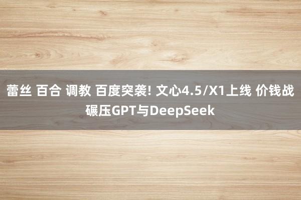 蕾丝 百合 调教 百度突袭! 文心4.5/X1上线 价钱战碾压GPT与DeepSeek