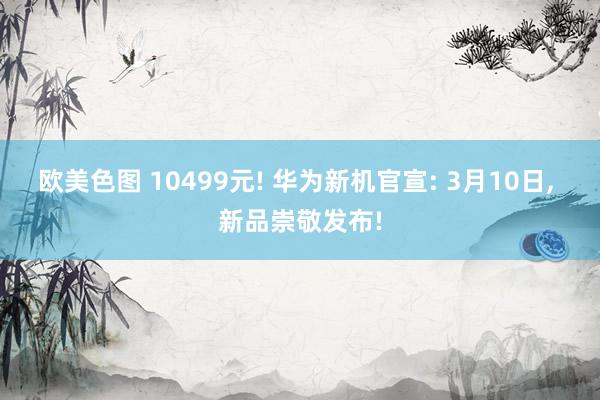 欧美色图 10499元! 华为新机官宣: 3月10日, 新品崇敬发布!