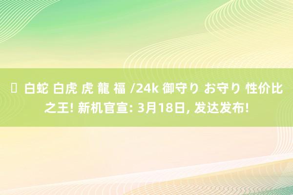 ✨白蛇 白虎 虎 龍 福 /24k 御守り お守り 性价比之王! 新机官宣: 3月18日, 发达发布!