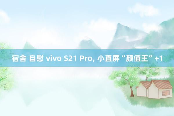 宿舍 自慰 vivo S21 Pro, 小直屏“颜值王”+1