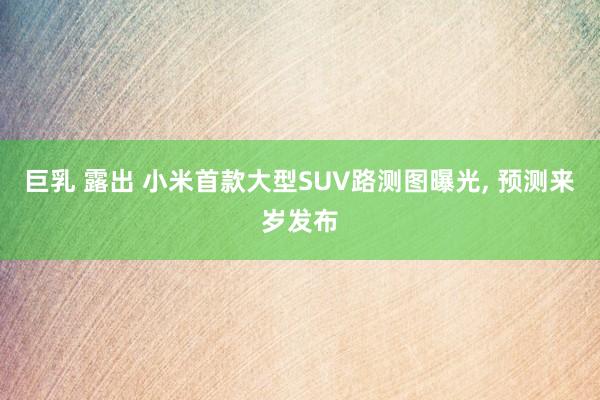 巨乳 露出 小米首款大型SUV路测图曝光, 预测来岁发布