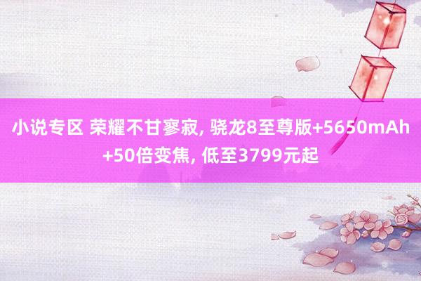 小说专区 荣耀不甘寥寂, 骁龙8至尊版+5650mAh+50倍变焦, 低至3799元起