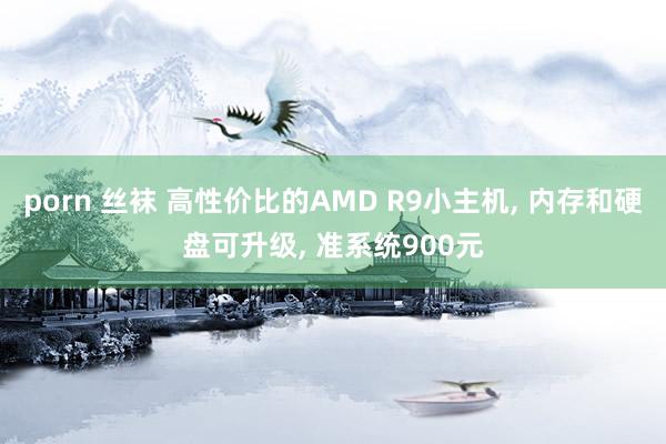 porn 丝袜 高性价比的AMD R9小主机, 内存和硬盘可升级, 准系统900元