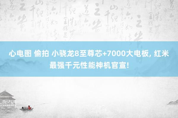 心电图 偷拍 小骁龙8至尊芯+7000大电板, 红米最强千元性能神机官宣!