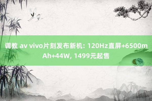 调教 av vivo片刻发布新机: 120Hz直屏+6500mAh+44W, 1499元起售