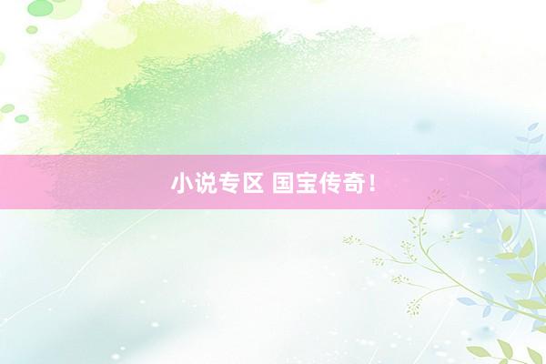 小说专区 国宝传奇！