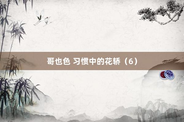 哥也色 习惯中的花轿（6）