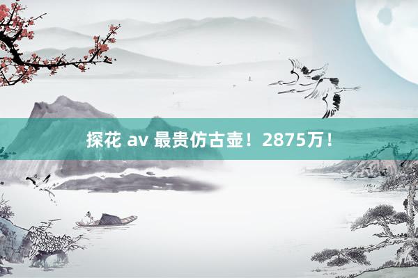 探花 av 最贵仿古壶！2875万！