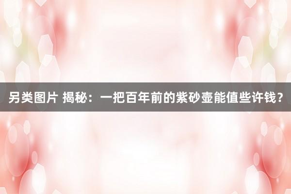 另类图片 揭秘：一把百年前的紫砂壶能值些许钱？