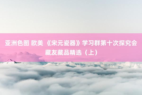 亚洲色图 欧美 《宋元瓷器》学习群第十次探究会藏友藏品精选（上）