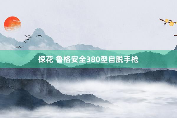 探花 鲁格安全380型自脱手枪