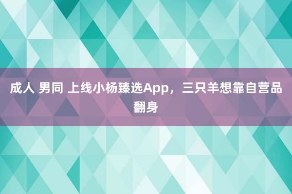 成人 男同 上线小杨臻选App，三只羊想靠自营品翻身