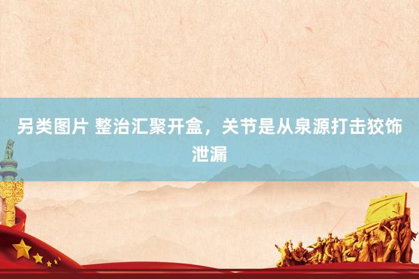 另类图片 整治汇聚开盒，关节是从泉源打击狡饰泄漏